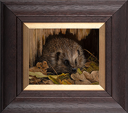 Carl Whitfield, Original oil painting on panel, Hedgehog