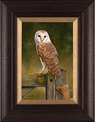 Carl Whitfield, British Wildlife Artist at York Fine Arts
