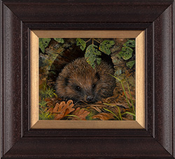 Hedgehog