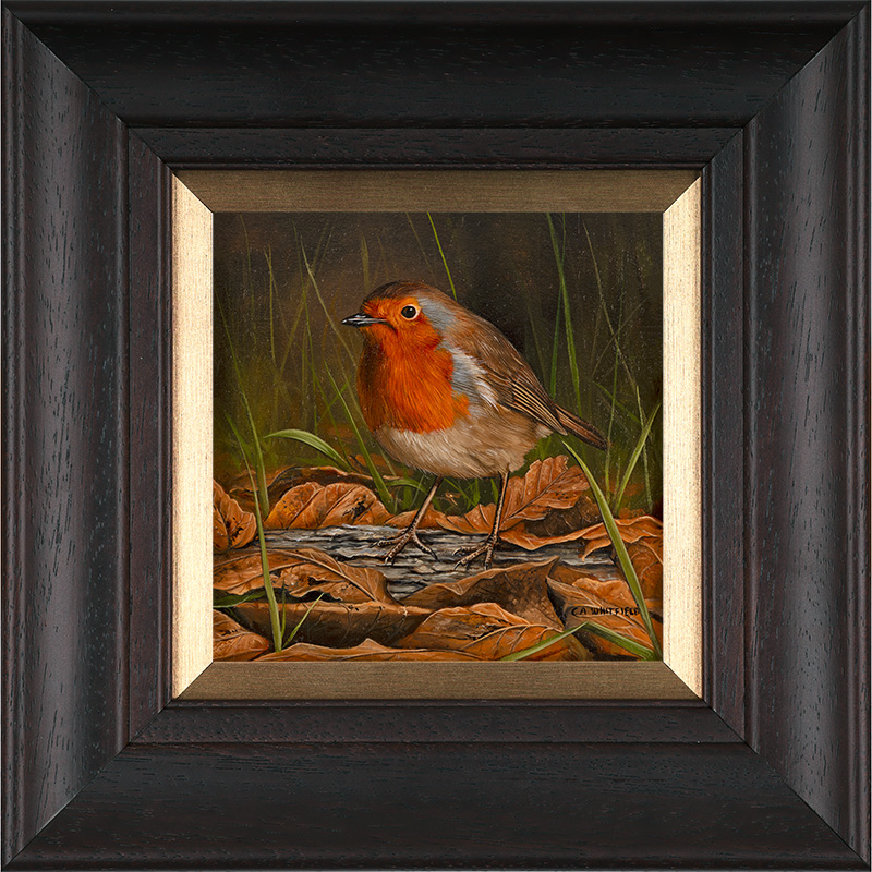 Carl Whitfield, Original oil painting on panel, Robin