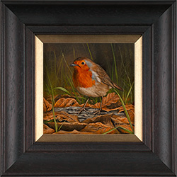 Robin
