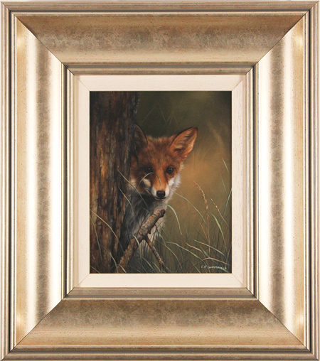 Carl Whitfield, Original oil painting on panel, Fox in the Grass, click to enlarge