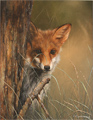 Carl Whitfield, British Wildlife Artist at York Fine Arts