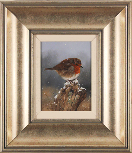 Carl Whitfield, Original oil painting on panel, Robin, click to enlarge