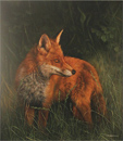 Large image, click to enlarge