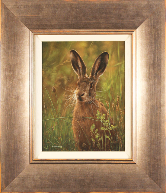 Carl Whitfield, Original oil painting on panel, Hare