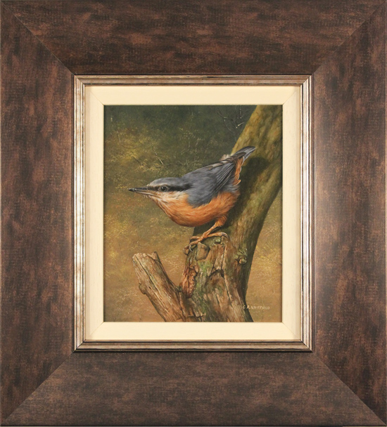 Carl Whitfield, Original oil painting on panel, Nuthatch