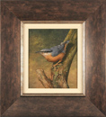 Large image, click to enlarge