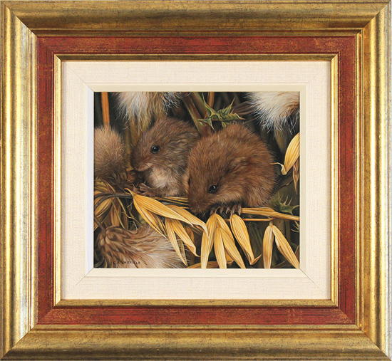 Carl Whitfield, Original oil painting on panel, Harvest Mice