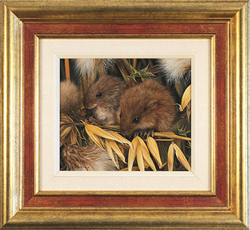 Large image, click to enlarge