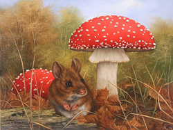 Large image, click to enlarge