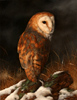 Large image, click to enlarge