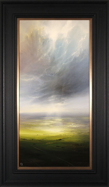 Clare Haley, Original oil painting on panel, Up and Away, click to enlarge