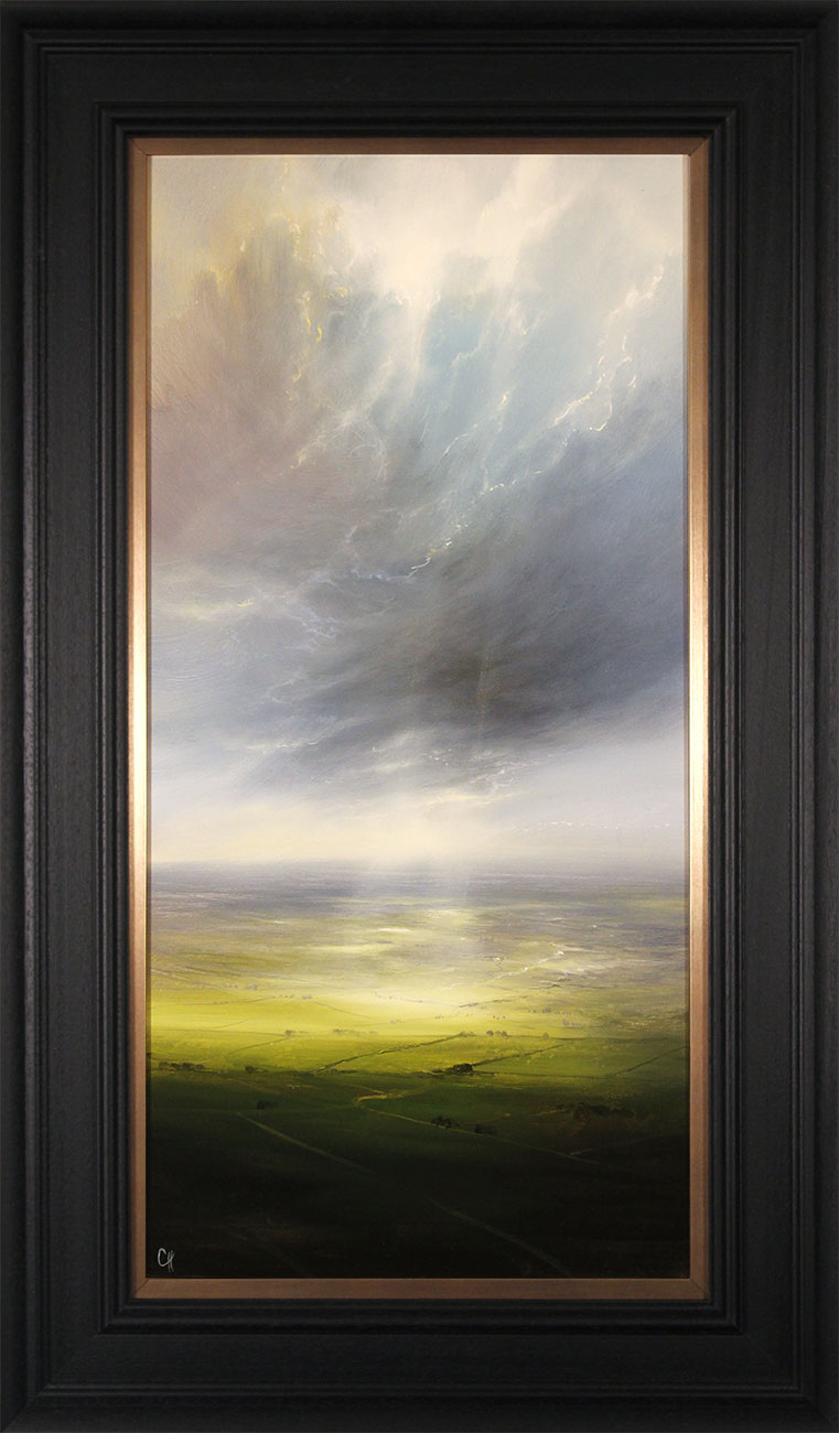 Clare Haley, Original oil painting on panel, Up and Away. Click to enlarge