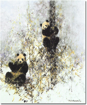 David Shepherd, Signed Limited Edition Print, Winter in Wolong