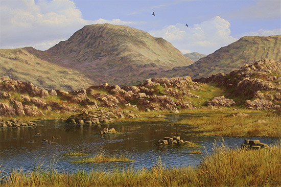 Edward Hersey, Original oil painting on panel, Summer's Glory, Innominate Tarn  Without frame image. Click to enlarge