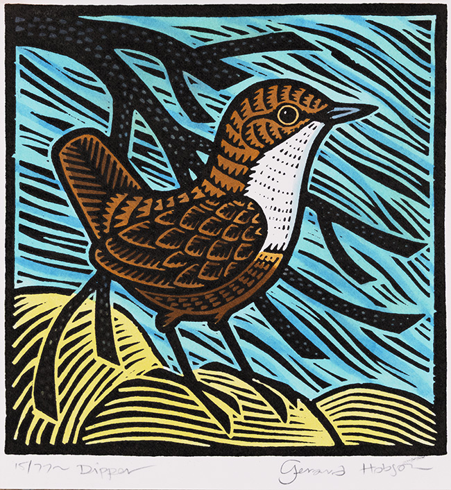 Gerard Hobson, Original linocut print, Dipper, click to enlarge