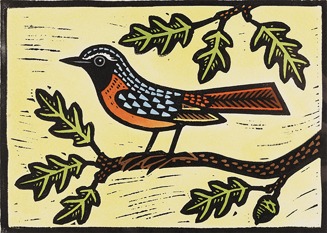 Gerard Hobson, Original linocut print, Redstart