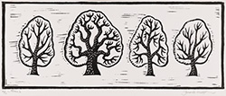 Large image, click to enlarge