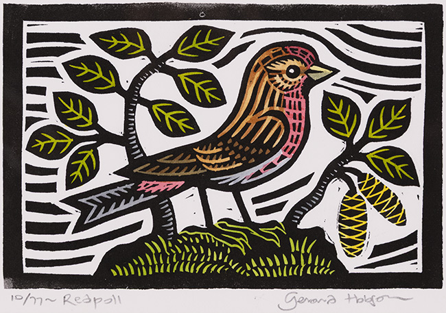 Gerard Hobson, Original linocut print, Redpoll, click to enlarge