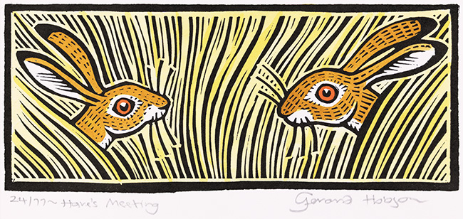 Gerard Hobson, Original linocut print, Hare's Meeting, click to enlarge