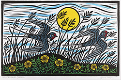 Large image, click to enlarge