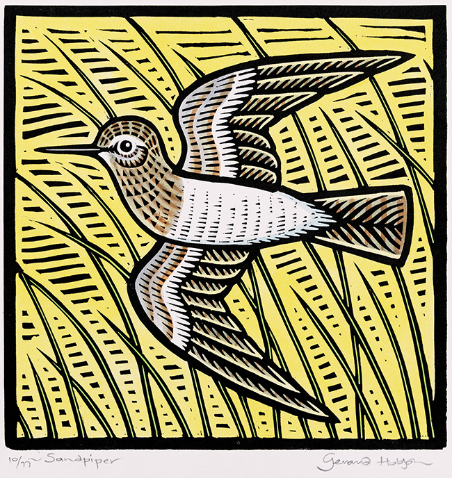 Gerard Hobson, Original linocut print, Sandpiper, click to enlarge