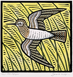 Large image, click to enlarge