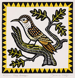 Tree Creeper