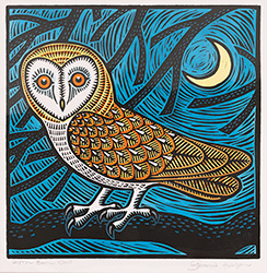 Barn Owl
