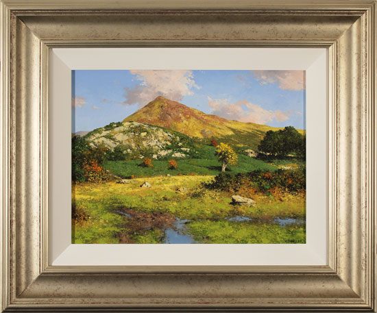 Howard Shingler, Original oil painting on panel, Grassmoor, Rannerdale 