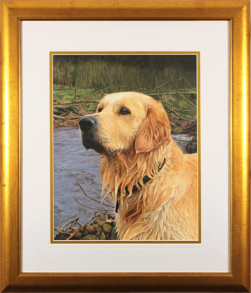 Jacqueline Gaylard, SOFA, Original acrylic painting on board, Golden Retriever