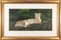 Jacqueline Gaylard, SOFA, Wildlife Artist at York Fine Arts