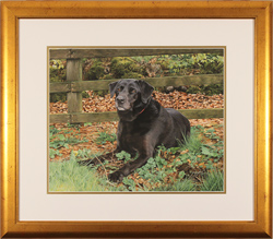 Large image, click to enlarge