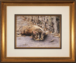 Large image, click to enlarge