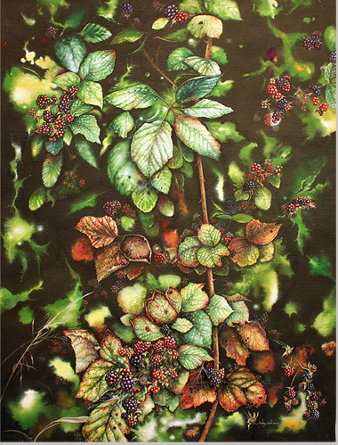 Jerry Walton, Watercolour, Bramble Tangle Without frame image. Click to enlarge