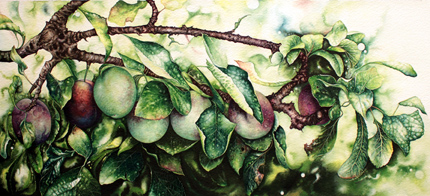 Jerry Walton, Watercolour, Plum Line 