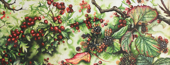 Jerry Walton, Watercolour, Brambles and Hawthorn Berries