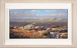 Large image, click to enlarge