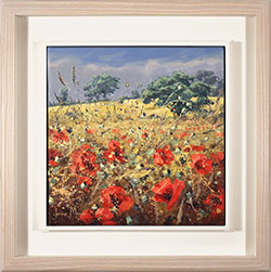 Julian Mason, Original oil painting on canvas, Poppy Fields