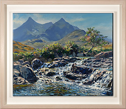 Late Summer, Skye