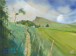 Swifts at Roseberry Topping