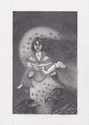 Large image, click to enlarge