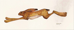 Large image, click to enlarge