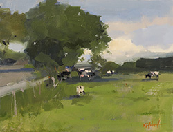 Michael John Ashcroft, ROI, Original oil painting on panel, Sun Shelter