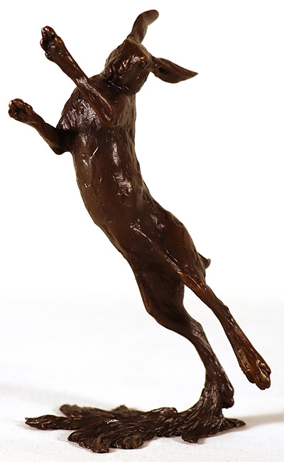 Michael Simpson, Bronze, Medium Hare Boxing