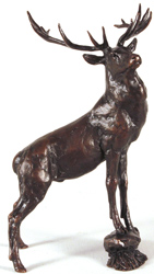 Large image, click to enlarge