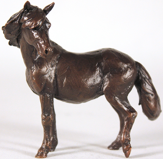 Michael Simpson, Bronze, Small Pony