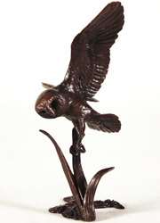 Large image, click to enlarge