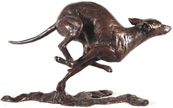 Large image, click to enlarge